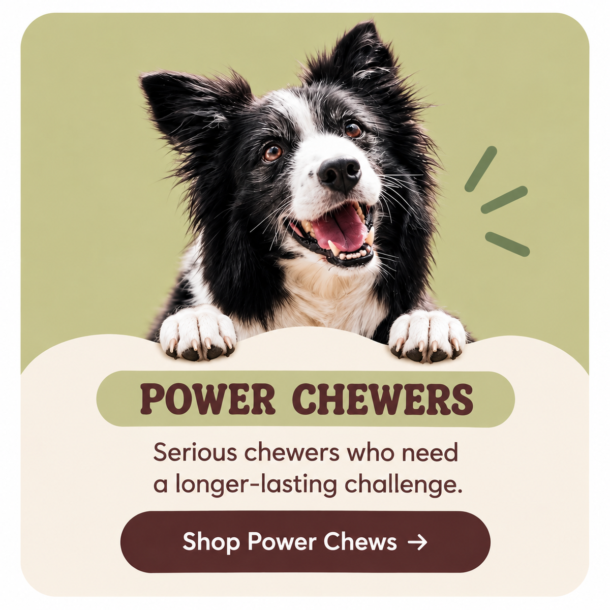 Power Chewers