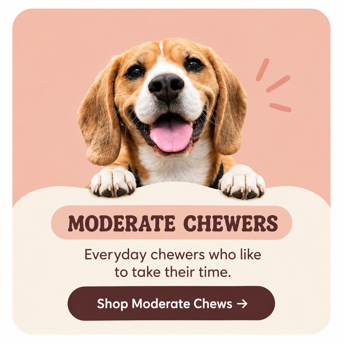 Moderate Chewers
