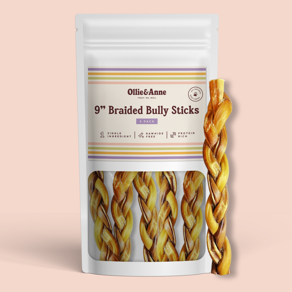 9" Braided Bully Sticks - 5 pack