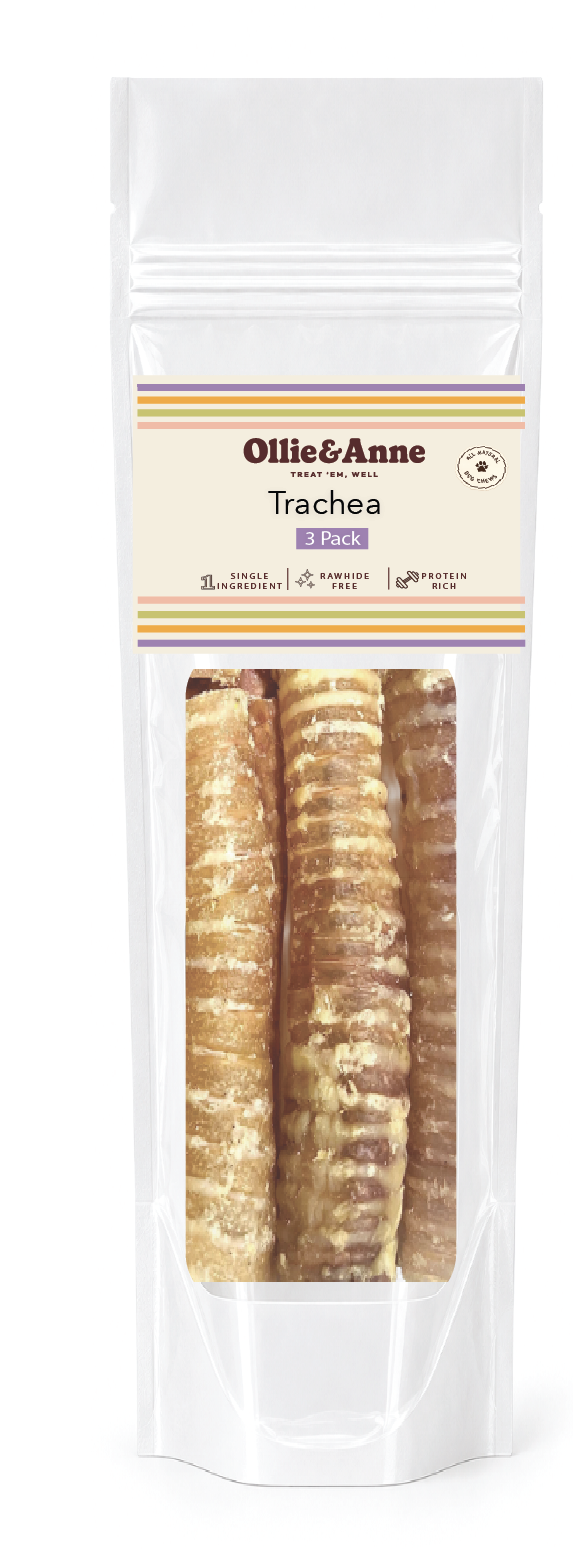 12" Trachea