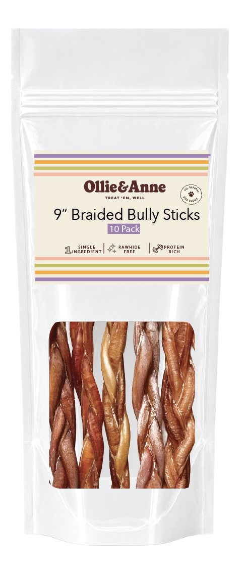 9" Braided Bully Sticks - 10 pack
